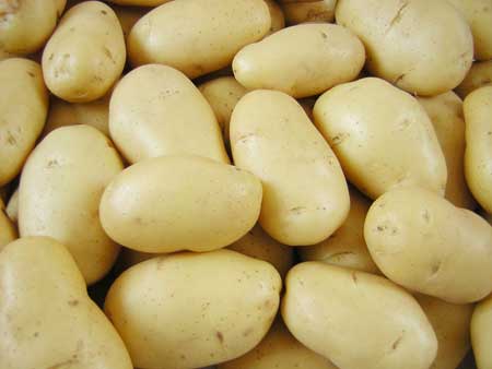 Oval Organic Fresh Potato, For Cooking, Feature : Floury Texture, Good In Taste, Non Harmul