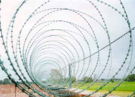 Razor Blade Wire Rbw - 01