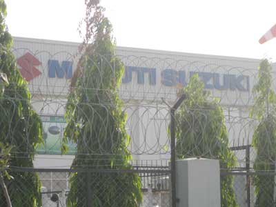 Razor Blade Wire Rbw - 10