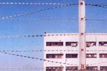 Sumit Enterprises Straight Barbed Wire- 02