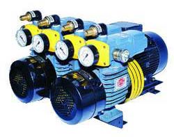 Dual Vacuum Compressor