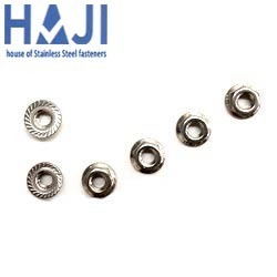 Stainless Steel Flange Nut