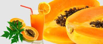 Papaya Pulp and Concentrates, Shelf Life : 6 Months