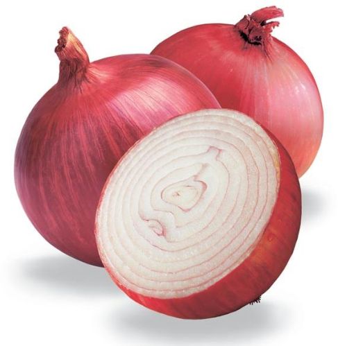 Fresh Onion