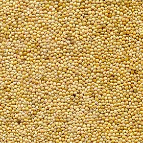 White Millet