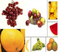 Fresh fruits, Usage : Human Consumption