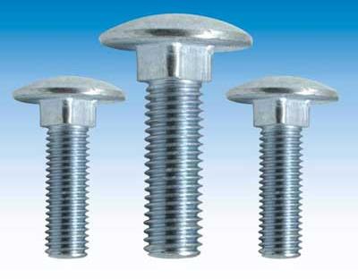 Carriage Bolts