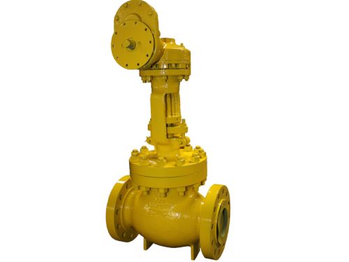 Globe Valve, Size : 1.1/2inch, 1.1/4inch, 1/2inch, 1inch, 2inch, 4/5