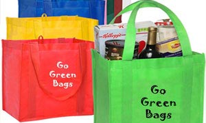 Non Woven Shopping Bags