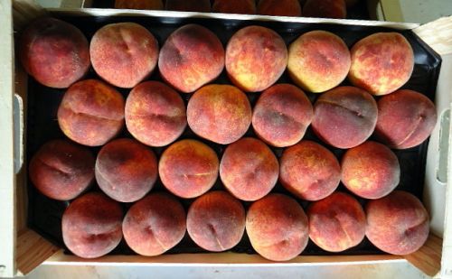 Fresh Greek Peaches