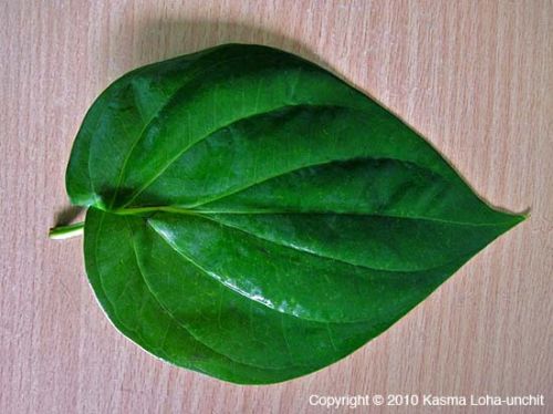 Betel leaf