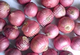 Fresh red onion For Food