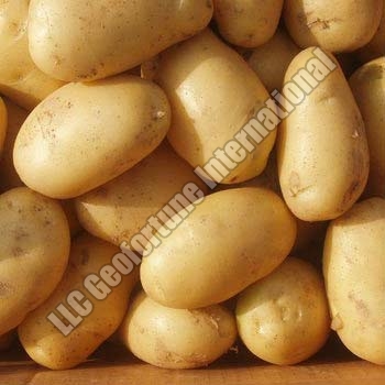 Fresh potato, Packaging Size : 5-25kg