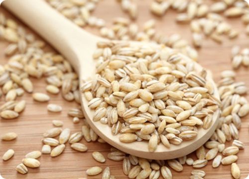 Barley Grain