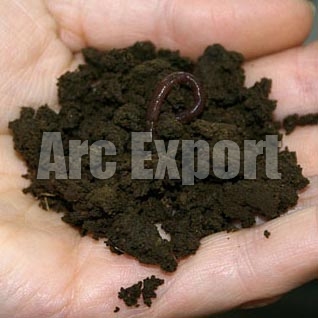 Vermiculture