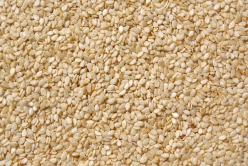 Sesame Seeds, Packaging Type : Beg