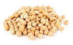 White Chickpeas