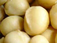 Macadamia nuts