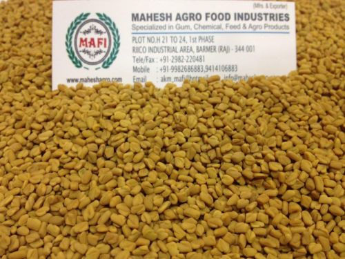 Fenugreek Seed