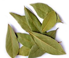 Dried Bay Leaves