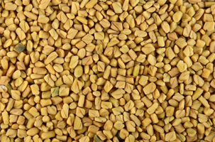 Fenugreek Seeds