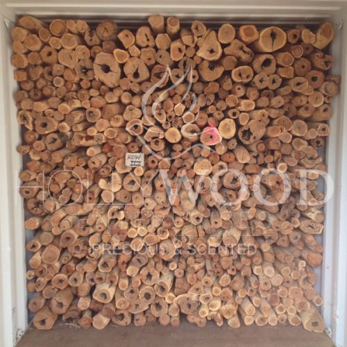 Sandalwood Logs