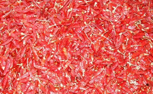 Dried Red Chilli