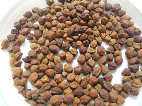 Black Chickpeas