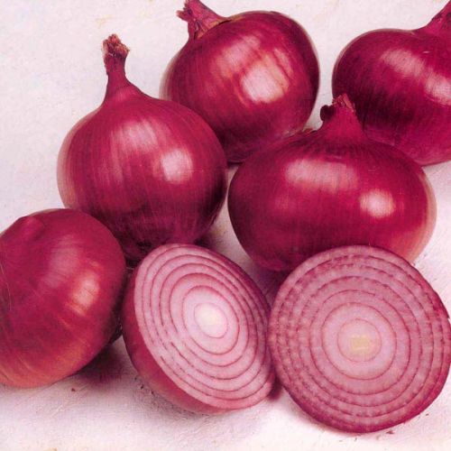 Fresh red onion For Cooking