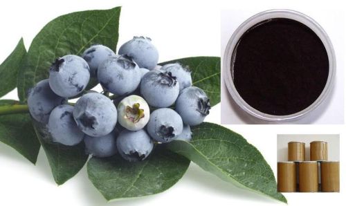 25% Anthocyanidins Cranberry Extract