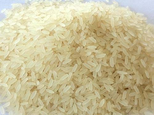 IR 36 Rice