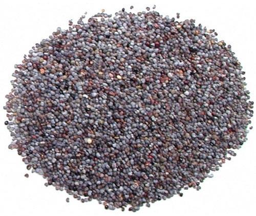Blue Poppy Seeds