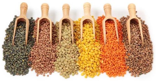 Indian Pulses