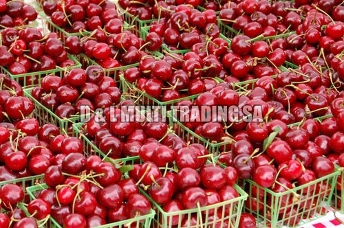 Fresh cherries
