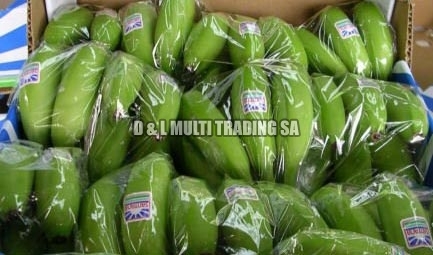 Fresh green banana, Packaging Size : 5Kg, 10Kg, 25Kg, 50Kg