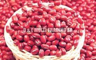 Kidney beans, Drying Process : Sun Dried