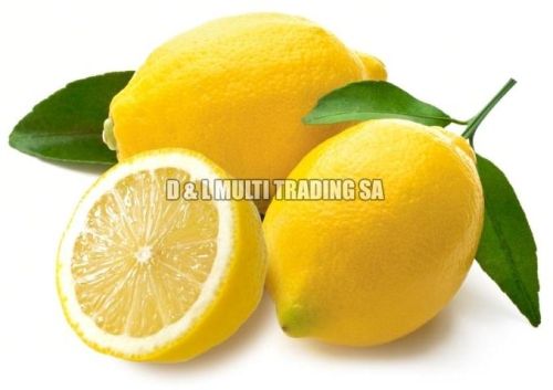 Fresh lemon, Usage : Sour