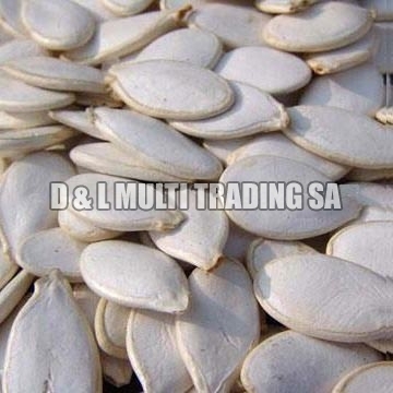 Pumpkin seeds, Usage/Application : Snacking, Baking, Cooking