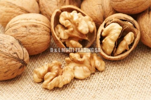 Walnuts, Shelf Life : 12 Months