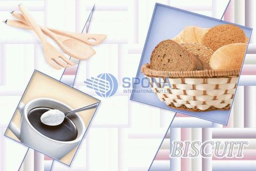 200x300 Glossy Series Digital Wall Tiles, Size : Multisizes