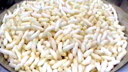 Puffed Rice