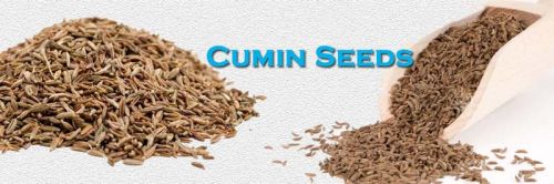 Cumin Seeds