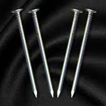 Stainless Steel Nails, For Stranded Conductors, Length : 10-20cm