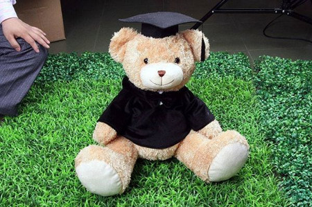 Plush Toys, Packaging Type : CUSTOM