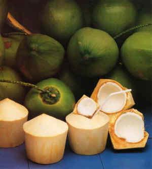 Fresh Green Coconut