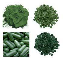 Spirulina