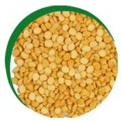 Chana dal, Shape : Oval