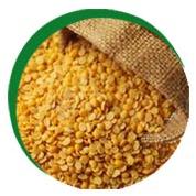 Toor dal, Drying Process : Sun Dried