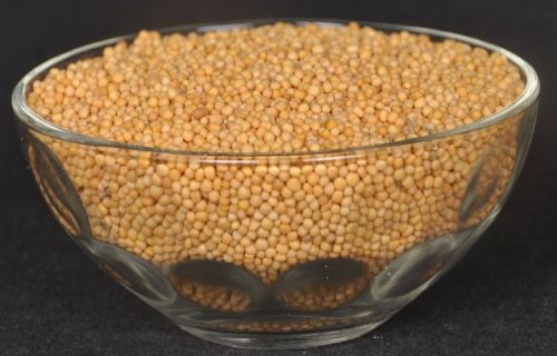 AUTO DRIED HULLED SESAME SEEDS