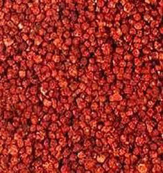 Gloriosa superba seeds